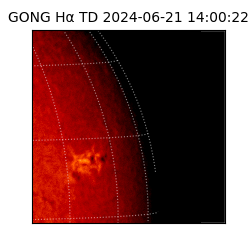 gong - 2024-06-21T14:00:22