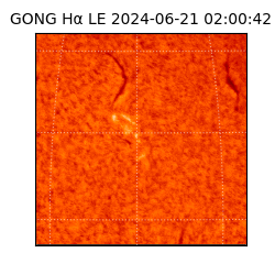 gong - 2024-06-21T02:00:42
