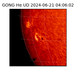 gong - 2024-06-21T04:06:02