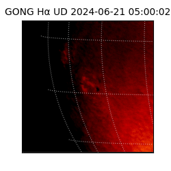 gong - 2024-06-21T05:00:02