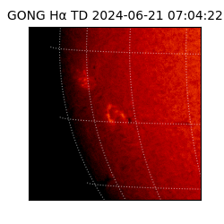 gong - 2024-06-21T07:04:22