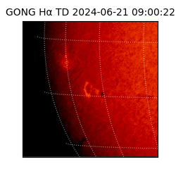 gong - 2024-06-21T09:00:22