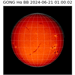 gong - 2024-06-21T01:00:02