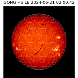 gong - 2024-06-21T02:00:42