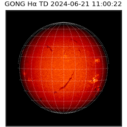 gong - 2024-06-21T11:00:22