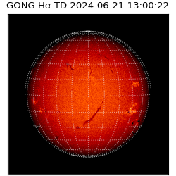 gong - 2024-06-21T13:00:22