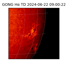 gong - 2024-06-22T09:00:22