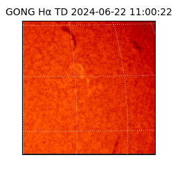 gong - 2024-06-22T11:00:22