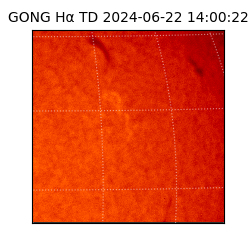 gong - 2024-06-22T14:00:22