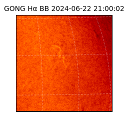 gong - 2024-06-22T21:00:02