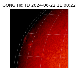 gong - 2024-06-22T11:00:22