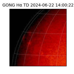 gong - 2024-06-22T14:00:22