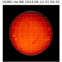gong - 2024-06-22T01:00:02
