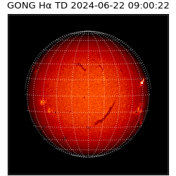 gong - 2024-06-22T09:00:22