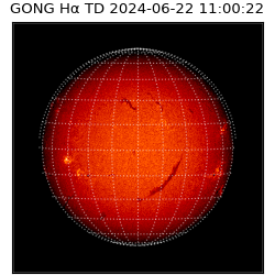 gong - 2024-06-22T11:00:22