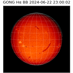 gong - 2024-06-22T23:00:02