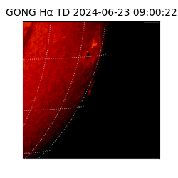 gong - 2024-06-23T09:00:22