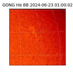 gong - 2024-06-23T01:00:02