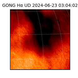 gong - 2024-06-23T03:04:02