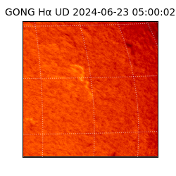 gong - 2024-06-23T05:00:02
