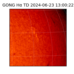 gong - 2024-06-23T13:00:22