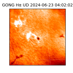 gong - 2024-06-23T04:02:02