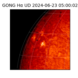 gong - 2024-06-23T05:00:02