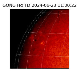 gong - 2024-06-23T11:00:22