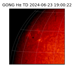 gong - 2024-06-23T19:00:22