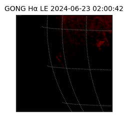 gong - 2024-06-23T02:00:42