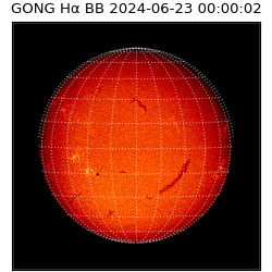 gong - 2024-06-23T00:00:02