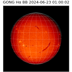 gong - 2024-06-23T01:00:02
