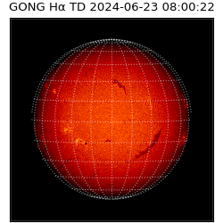 gong - 2024-06-23T08:00:22