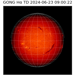 gong - 2024-06-23T09:00:22