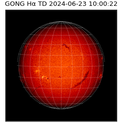 gong - 2024-06-23T10:00:22