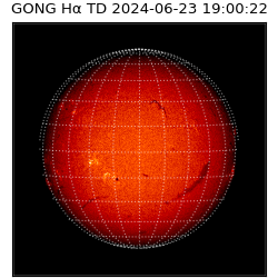 gong - 2024-06-23T19:00:22