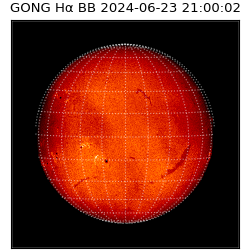 gong - 2024-06-23T21:00:02
