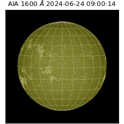 saia - 2024-06-24T09:00:14.130000