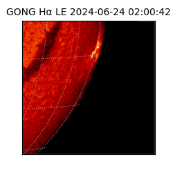 gong - 2024-06-24T02:00:42