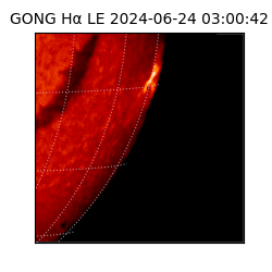 gong - 2024-06-24T03:00:42