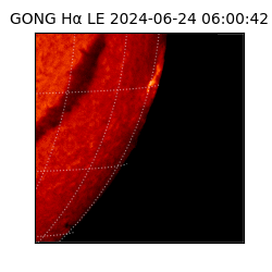 gong - 2024-06-24T06:00:42