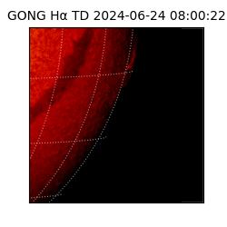 gong - 2024-06-24T08:00:22