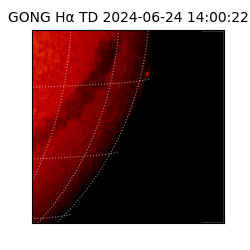 gong - 2024-06-24T14:00:22