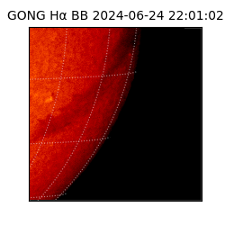 gong - 2024-06-24T22:01:02