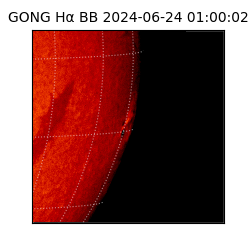 gong - 2024-06-24T01:00:02