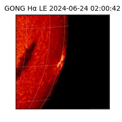 gong - 2024-06-24T02:00:42