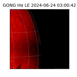 gong - 2024-06-24T03:00:42