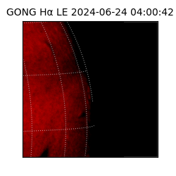 gong - 2024-06-24T04:00:42