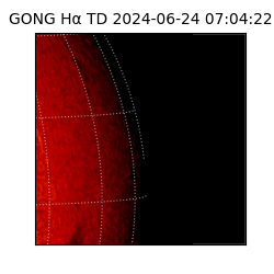 gong - 2024-06-24T07:04:22