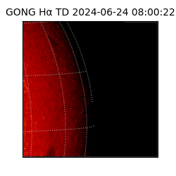 gong - 2024-06-24T08:00:22